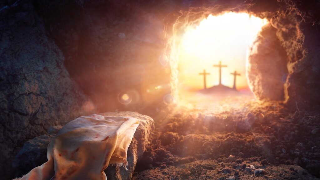 New Testament Applications And Meanings Of Generation Revealed